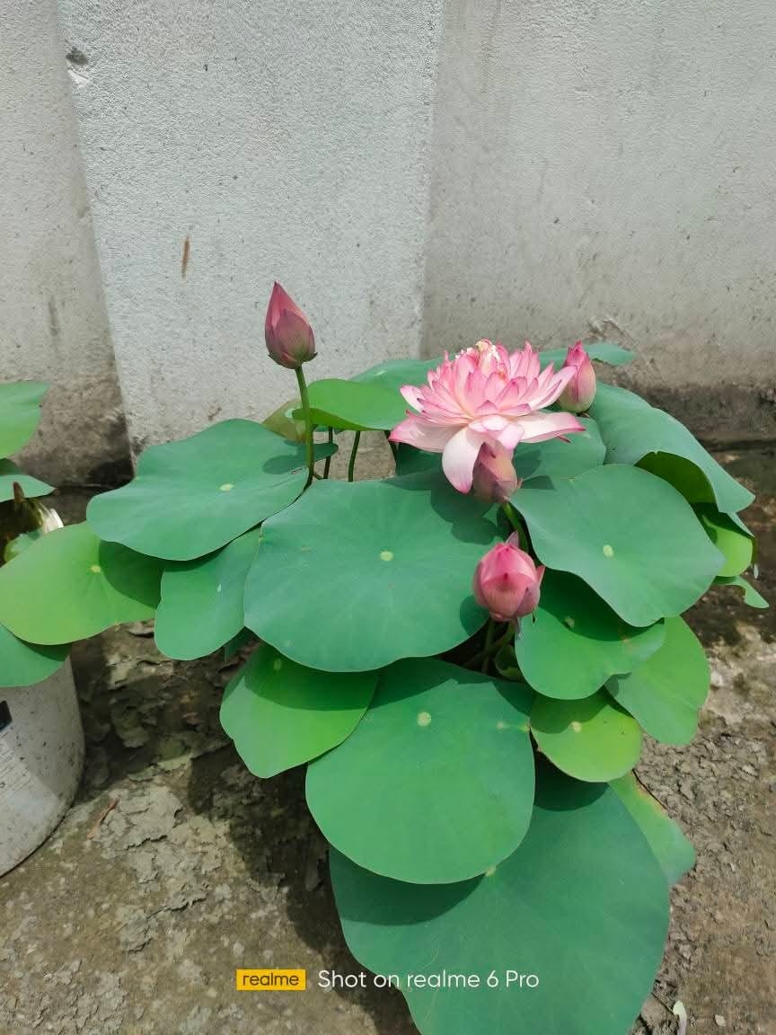 WhatsApp Image 2026-02-22 at 10.21.15 PM